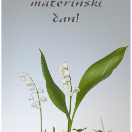 Voščilnica Šmarnice