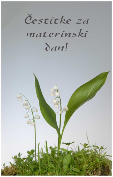Voščilnica Šmarnice