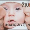 Magnetek za hladilnik - RADI IMAMO ŽIVLJENJE! (8 × 5 cm) - Image 4